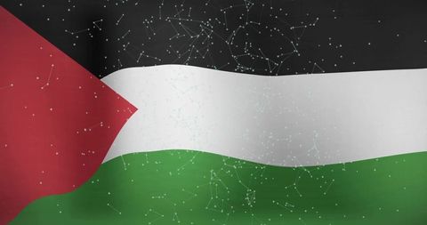 Palestinian flag with digital constellation design