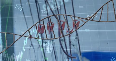 DNA Model with Stock Market Data Overlay in Laboratory Setting