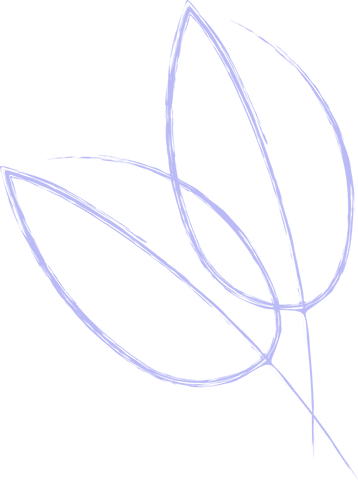 Minimalist periwinkle leaves art on transparent background