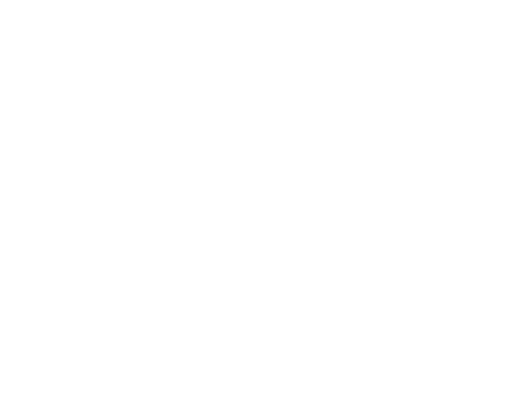 Transparent silhouette of celebrating football player