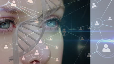 Abstract Vision of DNA and Network Connections