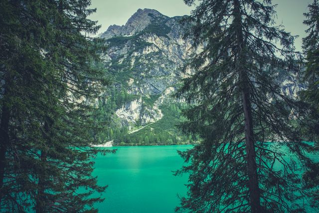 Captured is a beautiful emerald lake framed by tall pine trees with majestic mountains in the backdrop. Ideal for promoting travel destinations, nature conservancy, hiking guides, or serene retreat advertisements.