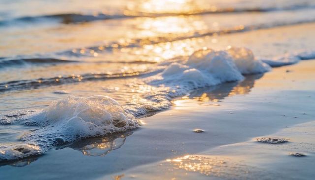 Glistening sea foam and clear bubble reflecting sunset light on wet sand shoreline