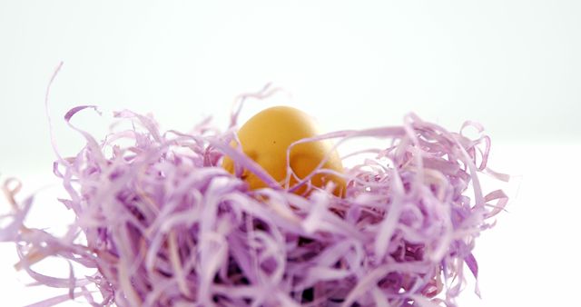 A delicate Easter egg rests in a nest of purple shredded paper, symbolizing springtime celebrations and traditions. The pastel colors and the concept of an egg in a nest often evoke themes of renewal and new beginnings.