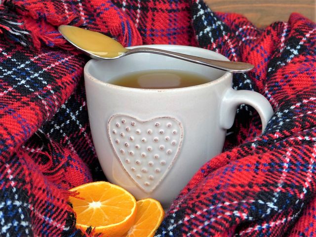 Cozy Cup of Tea with Honey on a Red Plaid Blanket - Download Free Stock Photos Pikwizard.com