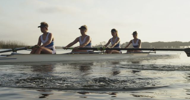 Women's Rowing Team Practicing on Calm Lake at Sunset - Download Free Stock Images Pikwizard.com