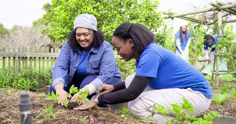 Diverse volunteers planting seedlings and tending raised beds in community garden