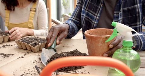 Couple Planting Seedlings Together in Greenhouse