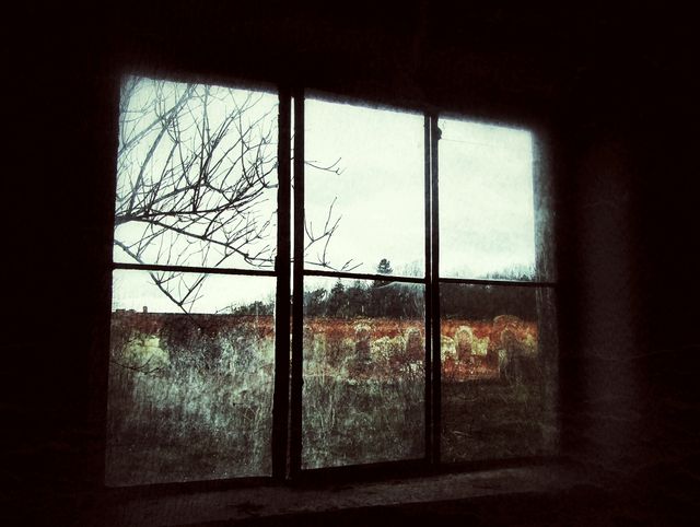 This evocative image captures the moody and eerie atmosphere in an abandoned building, framed by a dark, dusty window. Outside, an overgrown landscape and ghostly remains of structures are visible, emphasizing the passage of time and nature reclaiming space. Useful for themes related to mystery, forgotten places, urban decay, post-apocalyptic settings, or haunted house concepts.