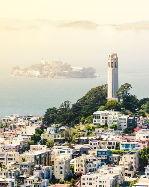 Perfect for travel blogs, articles on San Francisco highlights, tourism brochures, and city landmark features. The image encapsulates iconic San Francisco views with its famous Coit Tower, Alcatraz Island, and densely packed urban architecture under typical coastal fog.