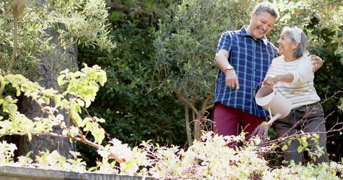 Senior Couple Joyfully Watering Plants in Sunny Garden