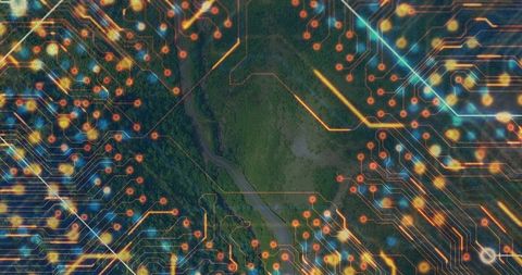 Vertical aerial meadow with neon circuitry overlay depicting nature-tech convergence
