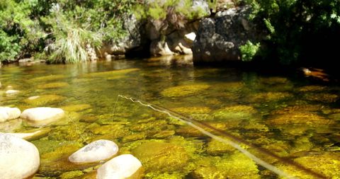 Fisherman Casting Rod in Clear River on Sunny Day