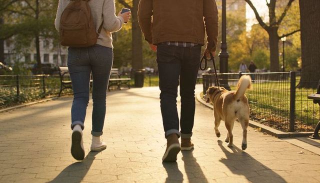 Couple Walking Dog on Sunlit Park Path During Golden Hour Urban Leisure Stroll