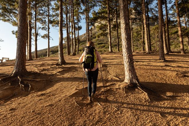 Senior woman hiking through a mountain forest with Nordic walking sticks and a backpack. Ideal for promoting outdoor activities, senior fitness, healthy lifestyle, and adventure tourism. Perfect for use in travel brochures, fitness blogs, and nature conservation campaigns.