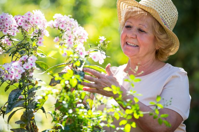 Senior woman examining and enjoying flowers in a garden on a sunny day. Ideal for use in articles or advertisements related to gardening, senior lifestyle, outdoor activities, hobbies, and retirement. Can also be used in health and wellness contexts, emphasizing the benefits of staying active and engaged in nature.