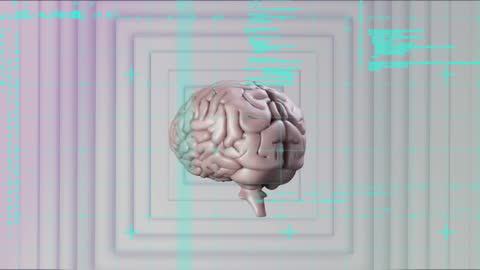 3D Human Brain Model with Data Visualization Elements
