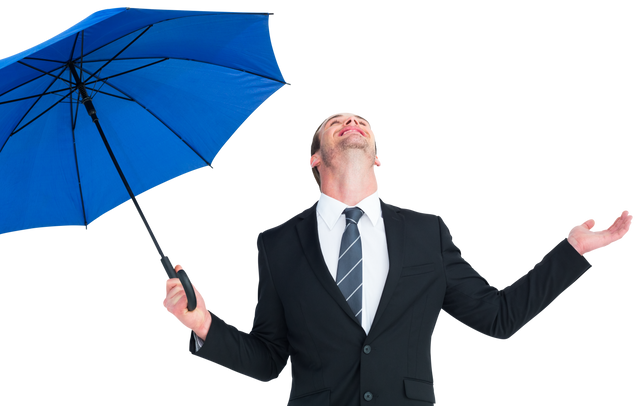 Transparent happy businessman holding blue umbrella and looking upwards - Download Free Stock Videos Pikwizard.com