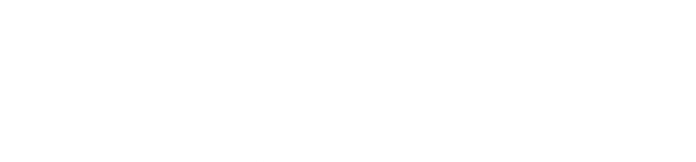 Elegant White Flourish Designs on Transparent Background - Download Free Stock Videos Pikwizard.com