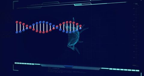 Digital DNA Strand Analysis with Virus Visualization - Download Free Stock Images Pikwizard.com