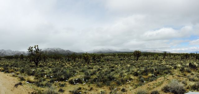 Sprawling Desert Landscape with Cloudy Sky and Sparse Vegetation - Download Free Stock Photos Pikwizard.com