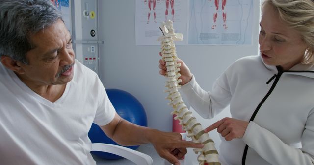 Physiotherapist Explaining Spinal Structure to Patient with Model - Download Free Stock Images Pikwizard.com