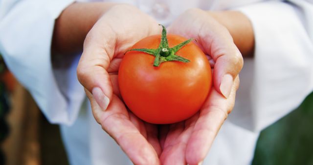 Close-up of female scientist holding tomato in greenhouse - Download Free Stock Photos Pikwizard.com