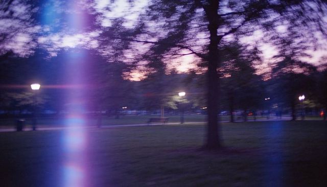 Dusk park tree trunk anchoring blurred motion, lamps and purple light leak