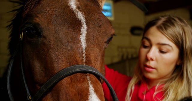 Young woman dressed in a red sweatshirt grooming and caring for a horse in a stable. Suitable for use in materials related to animal care, equestrian activities, compassion towards animals, and promoting grooming practices for horses.