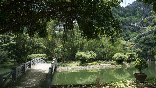 This image features a beautiful and tranquil garden with a wooden bridge spanning over a serene pond. Thick, lush greenery surrounds the scene, providing a calm and natural atmosphere. This serene landscape offers a peaceful retreat and can be used in promotional materials for parks, nature reserves, or travel destinations. It is also perfect for background images for websites, brochures, and marketing campaigns that emphasize nature and relaxation.