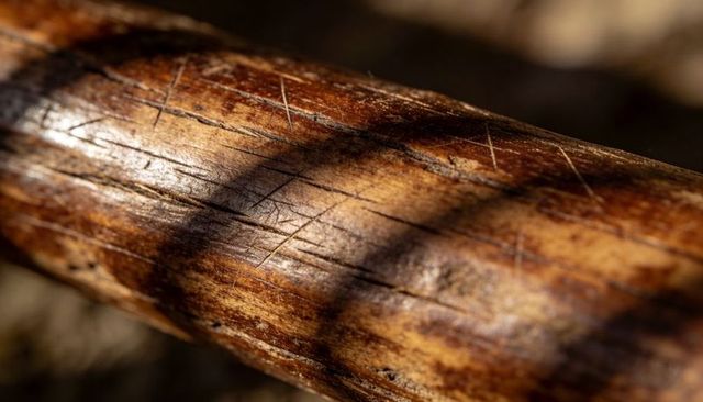Weathered wooden rod macro showing scratches grain patina shadow texture rustic aged