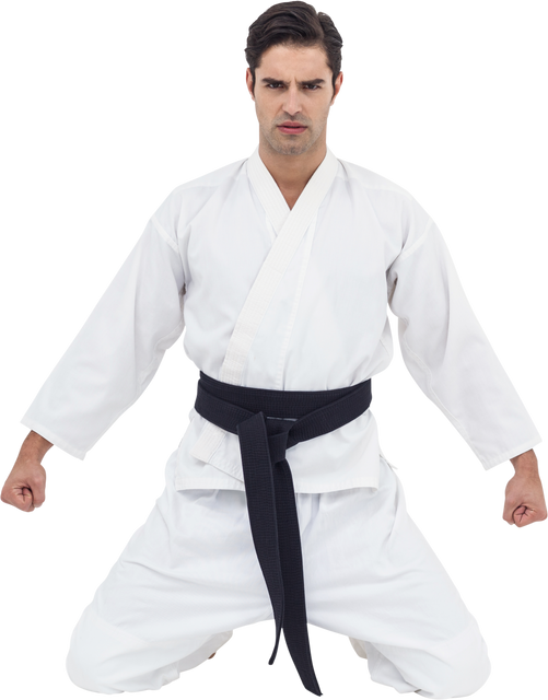 Transparent Serious Karate Player Kneeling in Traditional Uniform - Download Free Stock Videos Pikwizard.com