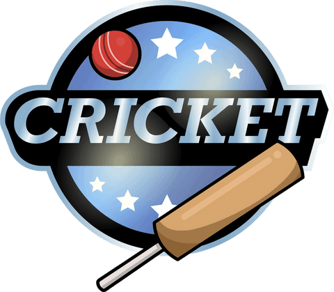 3d metallic cricket emblem with bat and ball on transparent background