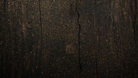 Worn Dark Wood Plank with Central Crack and Scattered Gold Flecks for Luxe Background