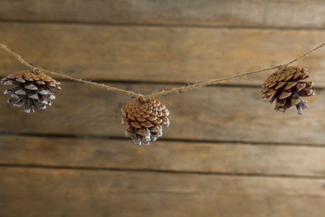 Close up of pine cones hanging on rope against wooden wall