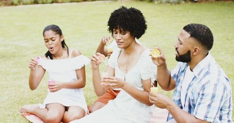 Family Relaxation Blowing Bubbles in Sunny Garden Day