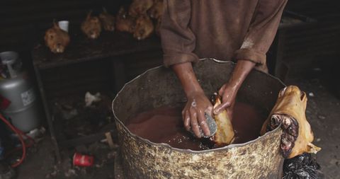 Artisan Butcher Cleaning Meat at Local Workshop