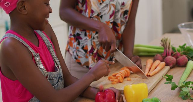 Mother and Daughter Chopping Fresh Vegetables in Kitchen - Download Free Stock Images Pikwizard.com