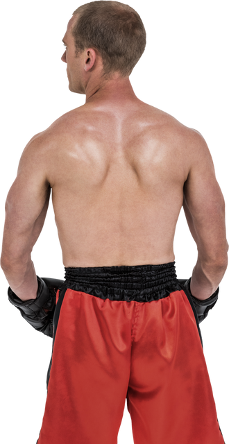 Transparent Rear View of Shirtless Boxer with Black Gloves and Red Shorts - Download Free Stock Videos Pikwizard.com