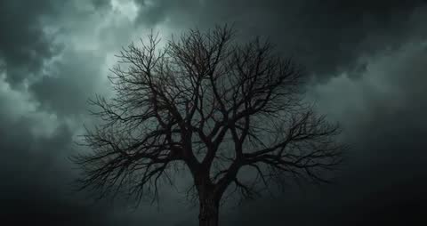 Solitary Tree in Stormy Clouds Captures Atmospheric Drama