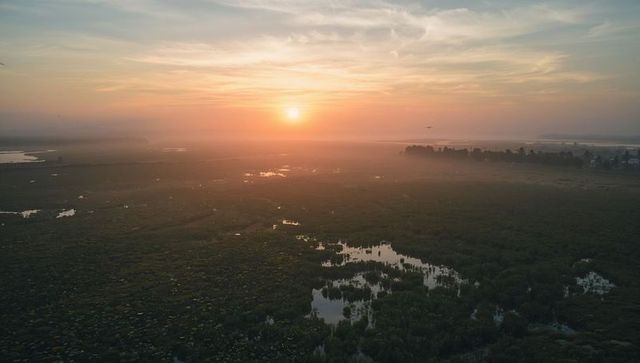 Sunrise casting golden light over misty marshland reflecting in shallow pools