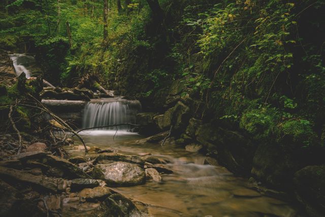 This image showcases a small, tranquil waterfall cascading through a lush, green forest. Ideal for use in nature blogs, environmental campaigns, relaxation apps, or travel-related marketing materials.