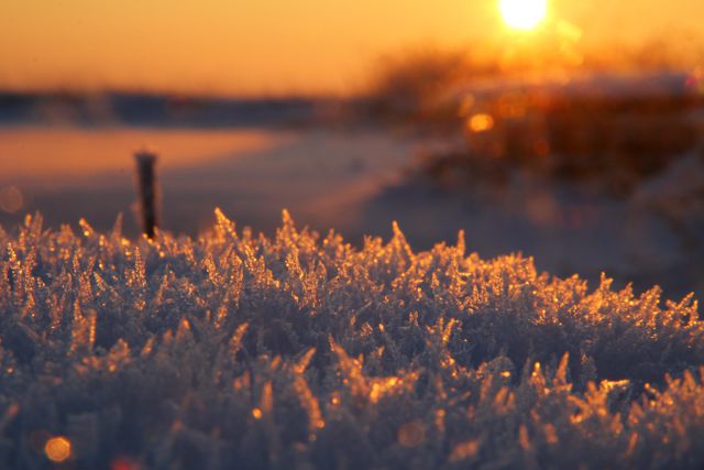 Winter sunrise over a frost-covered landscape with ice crystals glistening in the morning light. Suitable for use in seasonal greetings, winter weather updates, and travel brochures highlighting winter destinations.