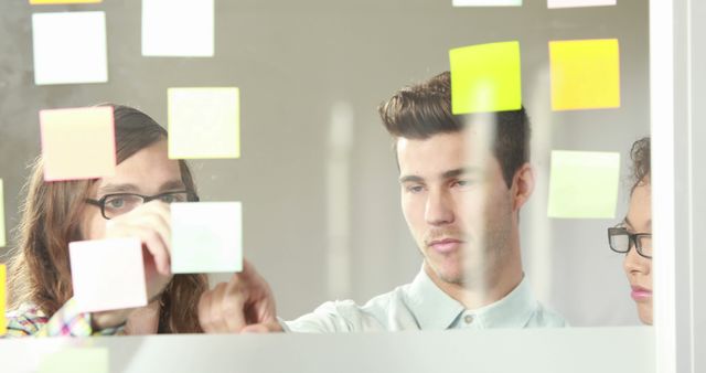 Diverse Team Collaborating Using Sticky Notes on Glass Board - Download Free Stock Images Pikwizard.com