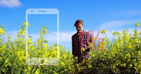 Young man walking through yellow canola field with smartphone overlay and percent graphic
