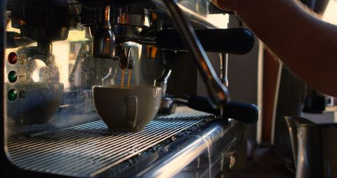 Barista Brewing Fresh Coffee in Busy Cafe Environment - Download Free Stock Images Pikwizard.com