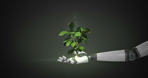 Robotic Hand Holding Growing Green Plant on Dark Background - Download Free Stock Images Pikwizard.com