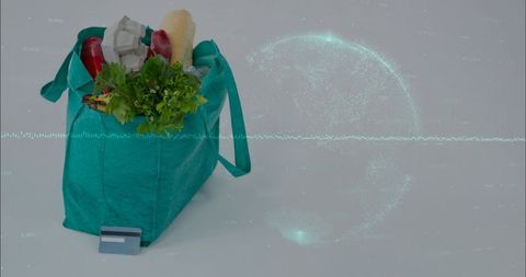 Teal reusable grocery bag holding produce and baguette with card and digital data globe