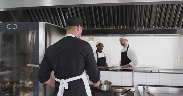 Chefs Preparing Food in Industrial Kitchen - Download Free Stock Images Pikwizard.com