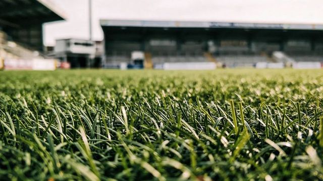Close-up revealing sharp stadium turf blades on manicured football pitch, blurred stands